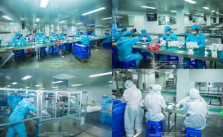 蔻琦代理参观生产工厂 见证品质与专业的力量