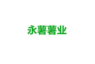 陈开厂手工粉条600g 加盟与代理的商业机遇解析（附货源启动指南）